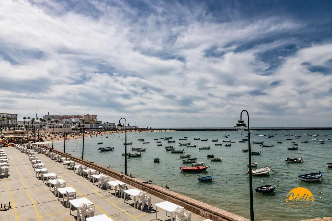 Apartamento Casa Patio La Viña -WIFI -PETFRIENDLY-ECOFRIENDLY Cádiz 0*,  España